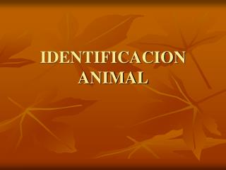 IDENTIFICACION ANIMAL