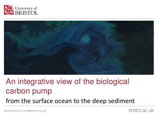 An integrative view of the biological carbon pump