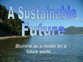 Blumine as a model for a future world…