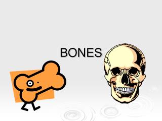 BONES