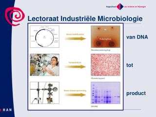 Lectoraat Industriële Microbiologie