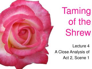 Taming of the Shrew