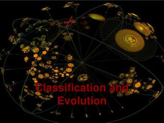 Classification and Evolution