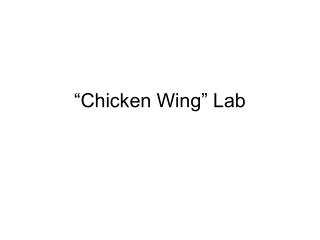 “Chicken Wing” Lab