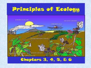 Principles of Ecology