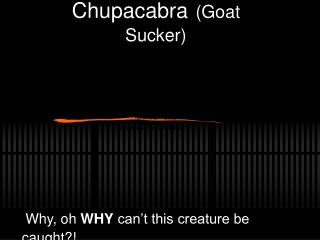 Chupacabra (Goat Sucker)
