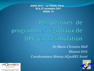 Perspectives de programmes régionaux de DPC par la simulation