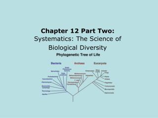 Chapter 12 Part Two: Systematics: The Science of Biological Diversity