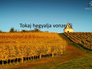 Tokaj hegyalja vonzerői