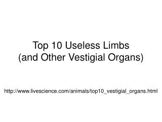 Top 10 Useless Limbs (and Other Vestigial Organs)