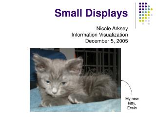 Small Displays Nicole Arksey Information Visualization December 5, 2005