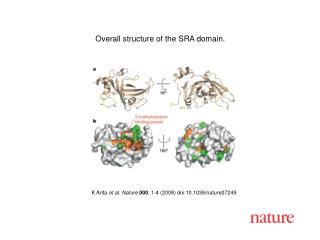 K Arita e t al. Nature 000 , 1-4 (2008) doi:10.1038/nature0724 9