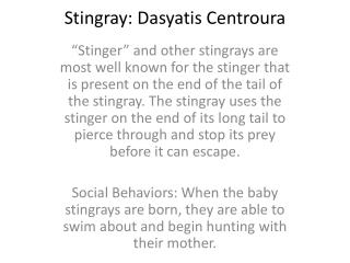 Stingray: Dasyatis Centroura
