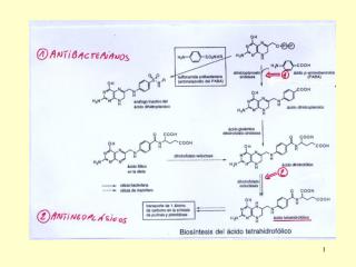1b) inhibidores de la biosíntesis de purinas y