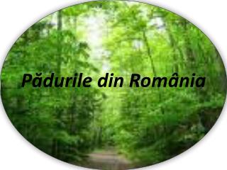 Pădurile din România