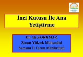 İnci Kutusu İle Ana Yetiştirme