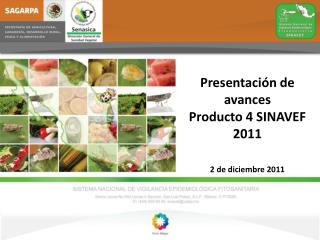 Presentación de avances Producto 4 SINAVEF 2011