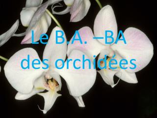 Le B.A. â€“BA des orchidÃ©es
