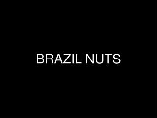 BRAZIL NUTS