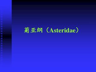 菊亚纲（ Asteridae ）