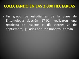 COLECTANDO EN LAS 2,000 HECTAREAS