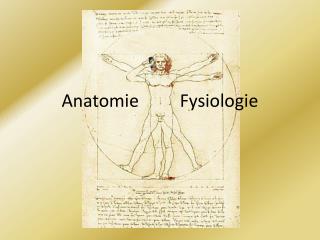 Anatomie	 Fysiologie