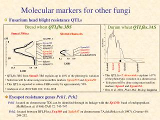 Molecular markers for other fungi