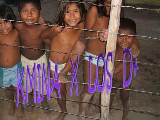 KMINA X LOS D+