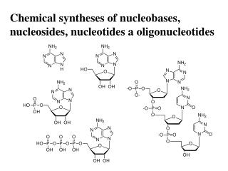 Chemical syntheses of nu c leob ases , nu c leosid es , nu c leotid es a oligonu c leotid es