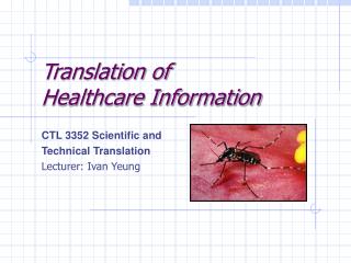 Translation of Healthcare Information