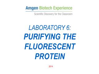 LABORATORY 6: PURIFYING THE FLUORESCENT PROTEIN