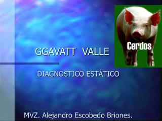 GGAVATT VALLE