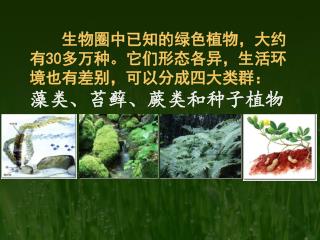 生物圈中已知的绿色植物，大约有 30 多万种。它们形态各异，生活环境也有差别，可以分成四大类群： 藻类、苔藓、蕨类和种子植物