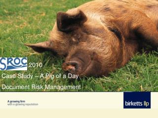 2010 Case Study – A Pig of a Day Document Risk Management