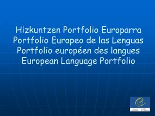 ZER DA PORTFOLIOA?