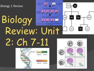 Biology 1 Review: