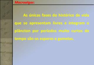 Macroalgas :