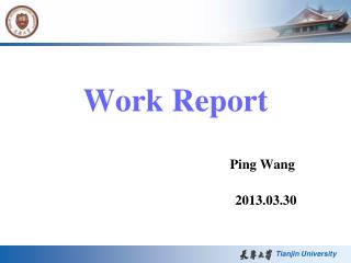 Work Report