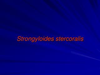 Strongyloides stercoralis