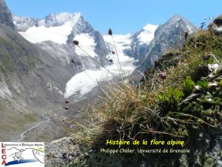Histoire de la flore alpine