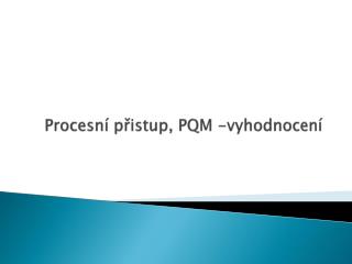 Procesní přistup, PQM -vyhodnocení