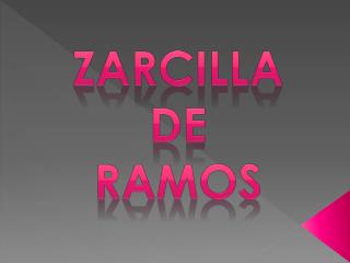 ZARCILLA DE RAMOS