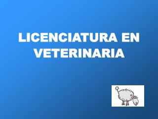 LICENCIATURA EN VETERINARIA