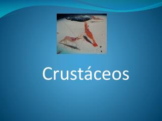 Crustáceos