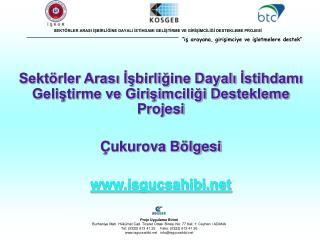 Sektörler Arası İşbirliğine Dayalı İstihdamı Geliştirme ve Girişimciliği Destekleme Projesi