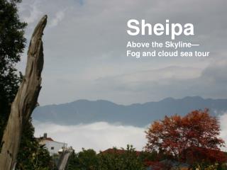 Sheipa Above the Skyline— Fog and cloud sea tour