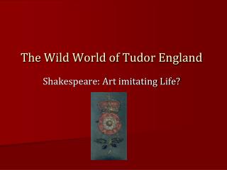 The Wild World of Tudor England