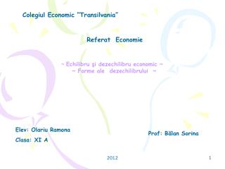 Colegiul Economic “Transilvania”