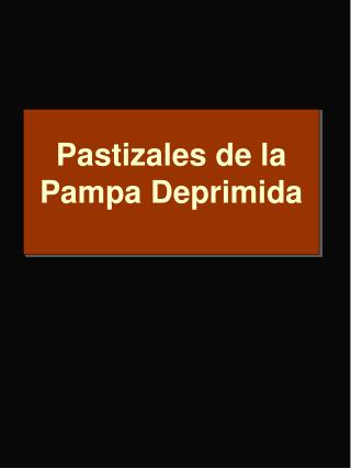 Pastizales de la Pampa Deprimida