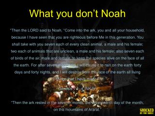 What you don’t Noah